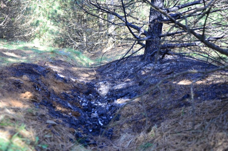 Denizi vahşice öldüren sevgilisinden kan donduran itiraf: Cesedini iki defa yakmış