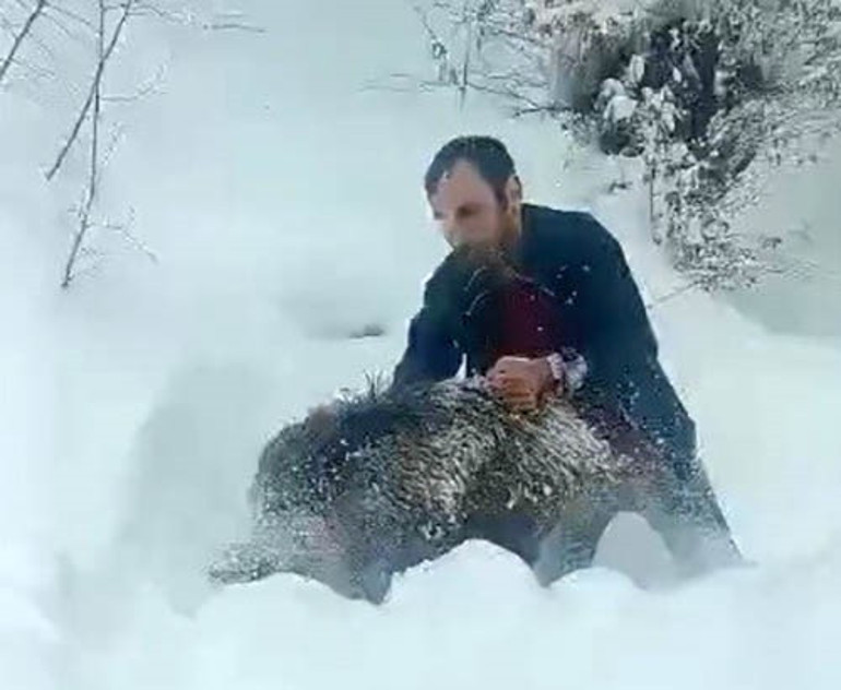 Karlı yolda karşılaştı, elleriyle yakaladı Kimse buna özenmesin Büyükleri insanı parçalayabilir