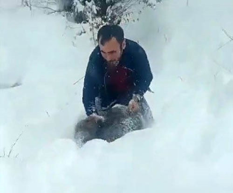 Karlı yolda karşılaştı, elleriyle yakaladı Kimse buna özenmesin Büyükleri insanı parçalayabilir