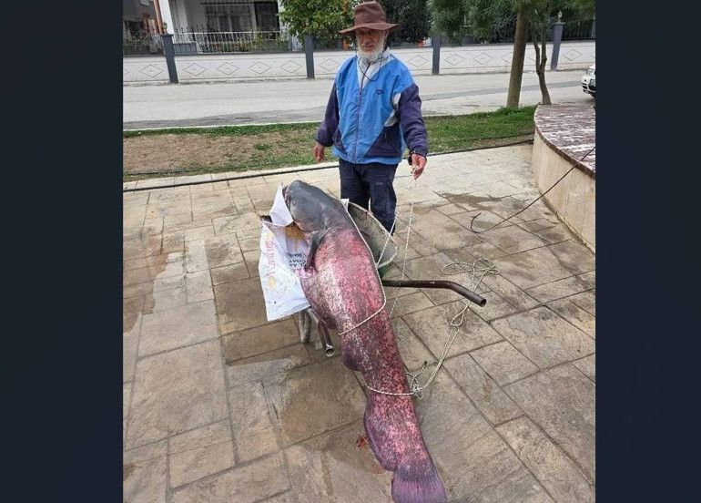 Mersinde amatör balıkçının oltasına takıldı: Kendisi çıkaramayınca çevredekiler yardım etti