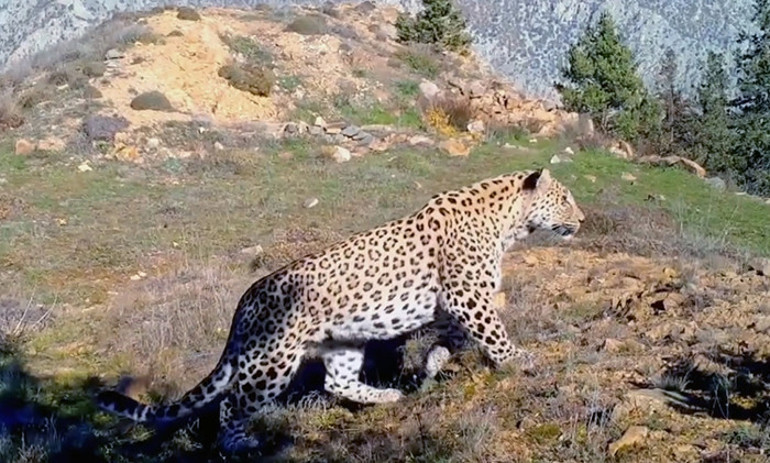  DNAsı çıkarılıyor Tazminat bedeli 45 milyon TL olarak belirlendi