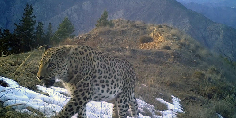  DNAsı çıkarılıyor Tazminat bedeli 45 milyon TL olarak belirlendi