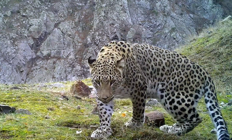  DNAsı çıkarılıyor Tazminat bedeli 45 milyon TL olarak belirlendi