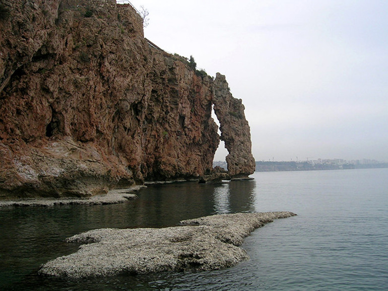 Bu özellikleri bulmak zor