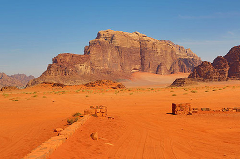 Yeni yılda ilk iş safariye çıktılar
