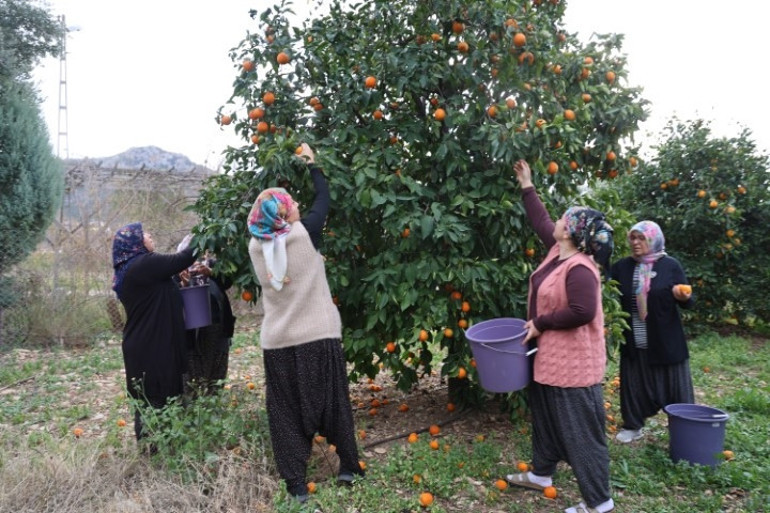 Çamaşır kazanından icat çıkardılar Fiyatını 60 kat artırdılar