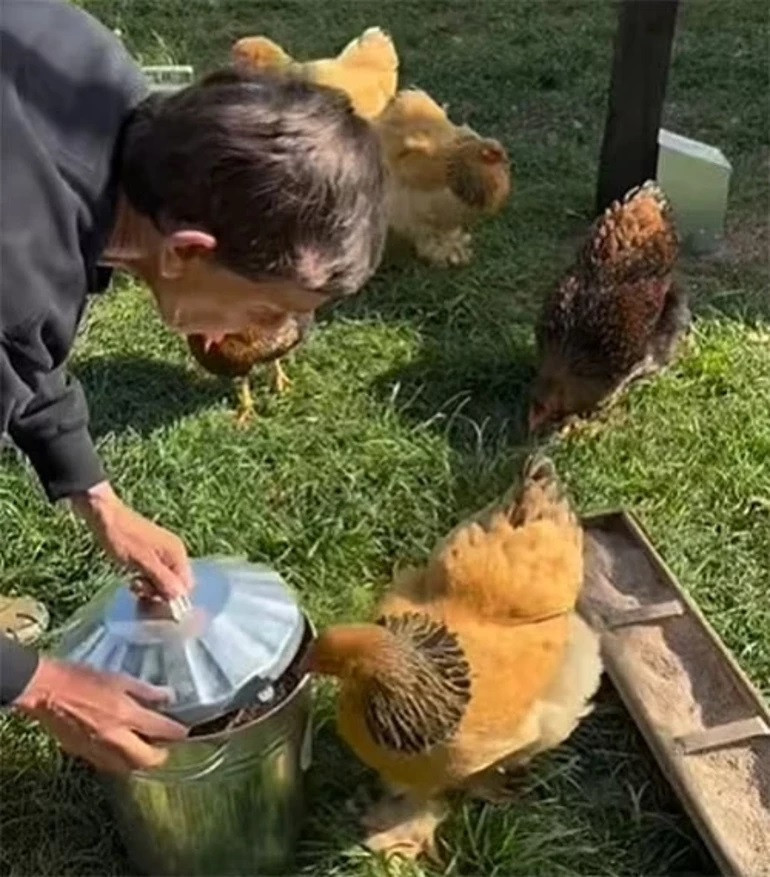 ‘Bıktım tavuk peşinde koşmaktan’ diyordu… Ünlü sunucunun çiftlik macerası çabuk bitti, malikane hayatına geri döndü