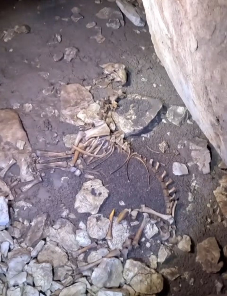 Kimse varlığını bilmiyordu Taş atınca metal sesi duydu; mağaraya inince gözlerine inanamadı