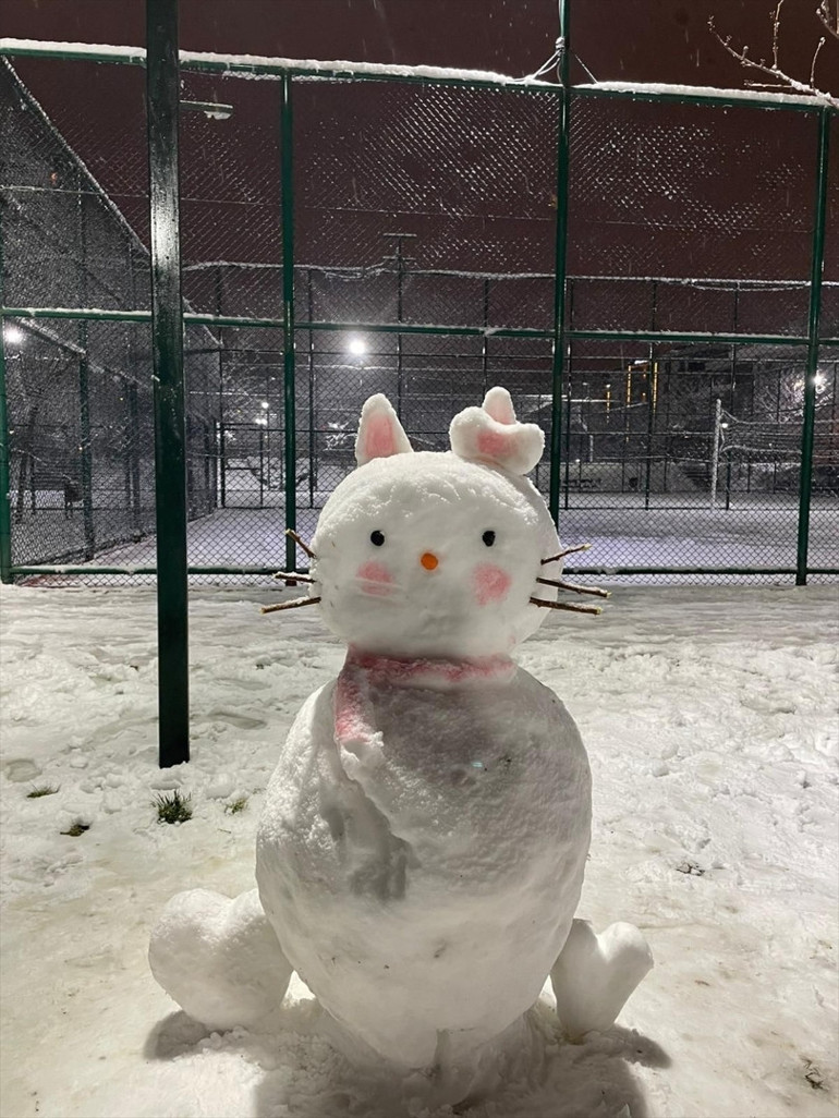 Meteorolojiden 41 il için sarı kodlu hava durumu uyarısı İstanbulda kar yağışı etkili oluyor... Prof. Dr. Şen: Kritik 24 saate girdik