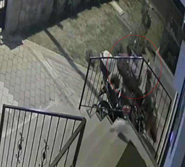 Restoratör Tuğbanın ölümüyle ilgili davada gönül ilişkisi iddiası