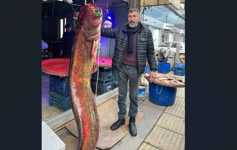  2 metre uzunluğunda 85 kilo ağırlığında