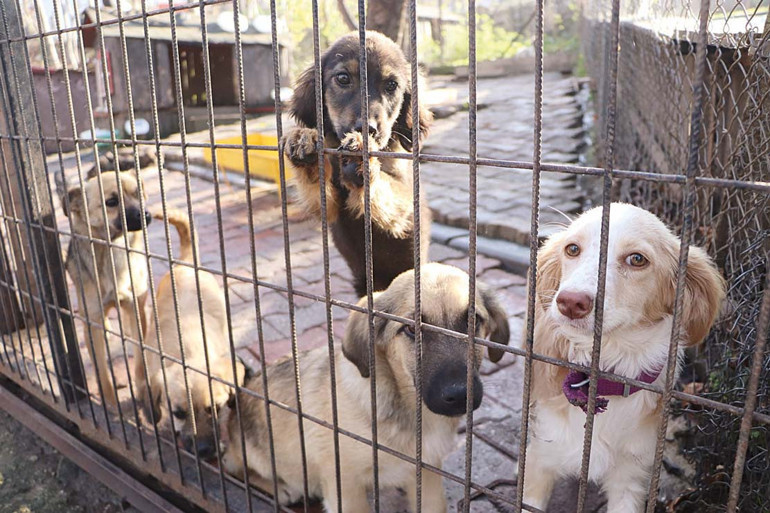 Vali Gül’den İstanbul buluşması