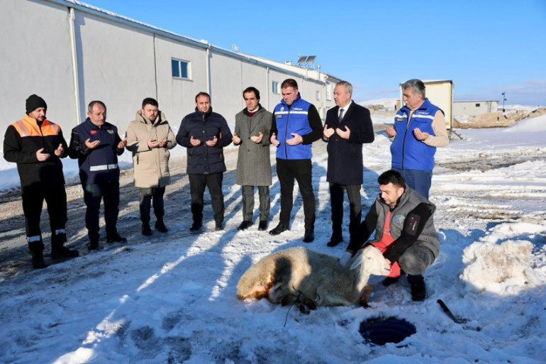 Yağan kar yağışından sonra belediye başkanı şükür koyunu kestirdi