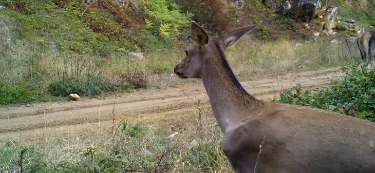 Doğanın içinden, en doğal haliyle