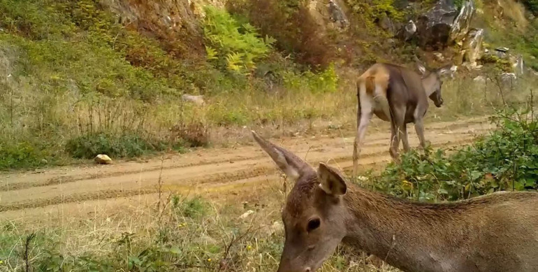  Doğanın içinden, en doğal haliyle