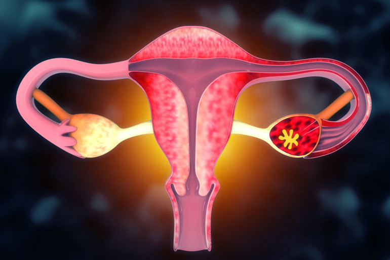 Sosyal medyada rekorlar kırdı, milyonlarca kadını mutlu etti... Ama ne kadarı doğru Ünlü uzman o videoyu değerlendirdi