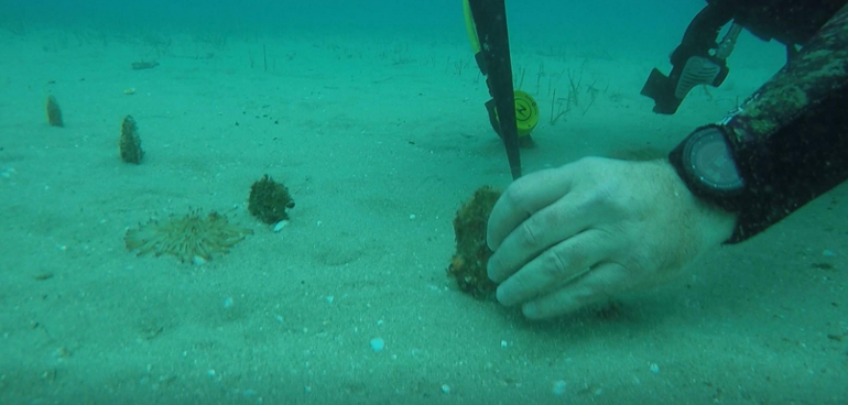  Bir yıl içinde 30 santimetreye ulaştı Adeta birer mezarlığa dönüştüğünü gördük