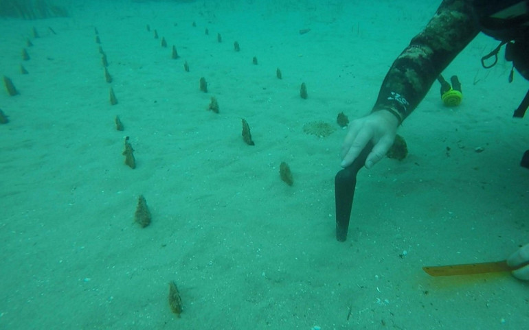  Bir yıl içinde 30 santimetreye ulaştı Adeta birer mezarlığa dönüştüğünü gördük