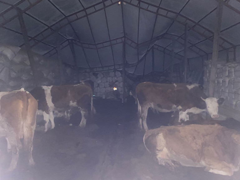 3 gündür mahsur kaldık paylaşımına ilişkin Tunceli Valiliğinden açıklama