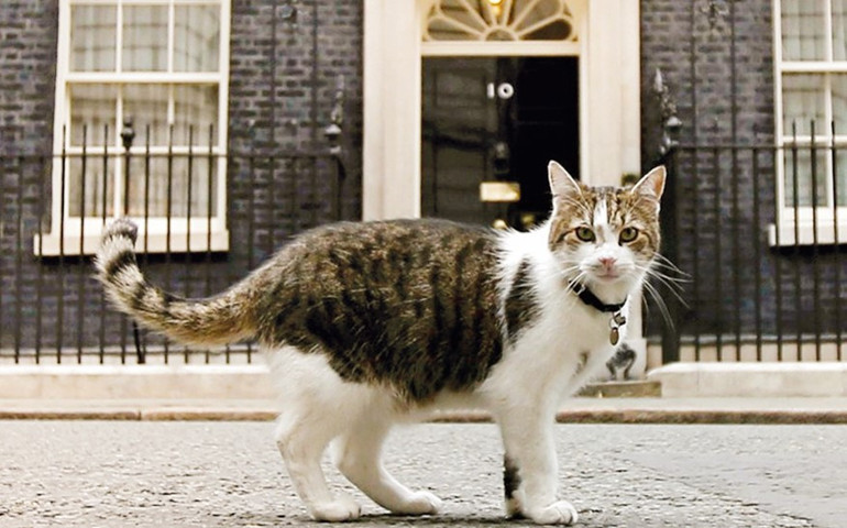 10 numaralı kapının şifreleri