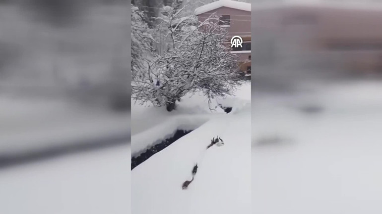 Köy imamının çektiği video sosyal medyada büyük beğeni topladı