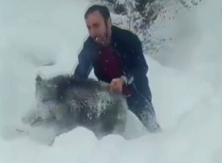  Domuzu yakalayan vatandaşla ilgili yeni karar