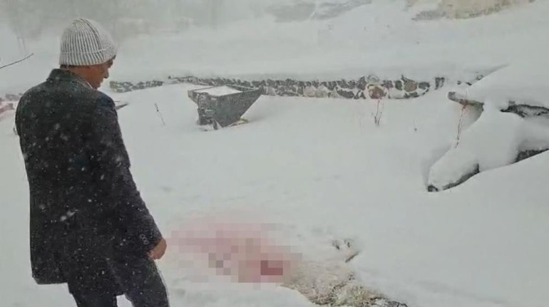  Çıktığımda köpeği bu hale getirmişlerdi