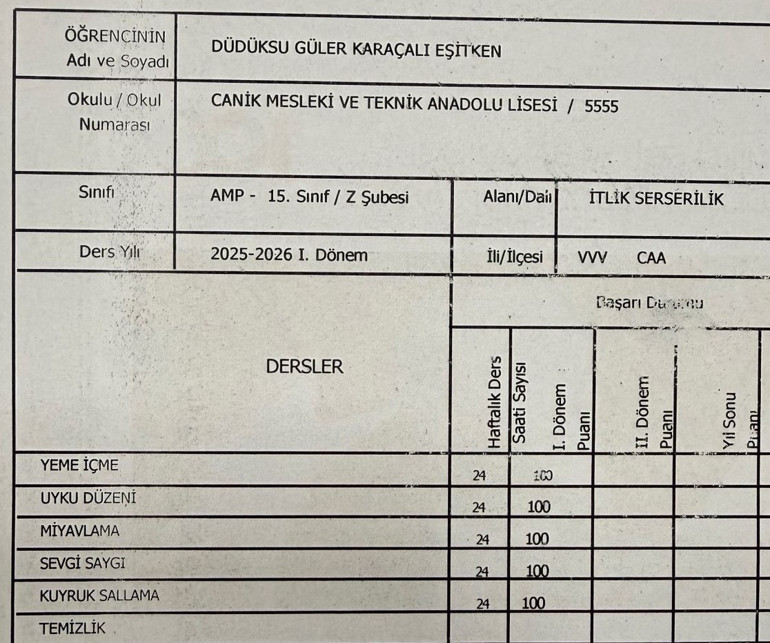 ‘Düdüksu’ karne aldı, miyavlama pekiyi