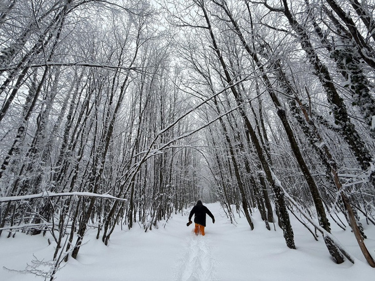 Kar, doğa ve macera: Kocaeli Samanlı Dağları