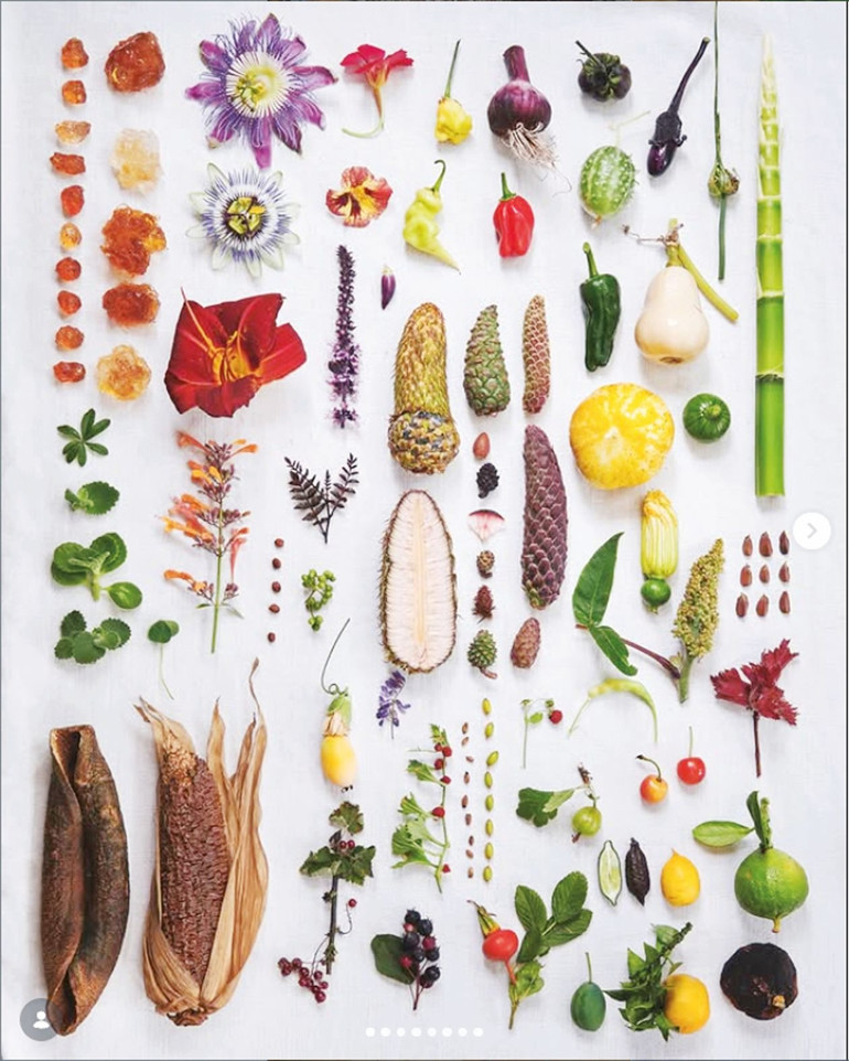 Mutfak insanın evrenle kurduğu ilişkinin aynasıdır