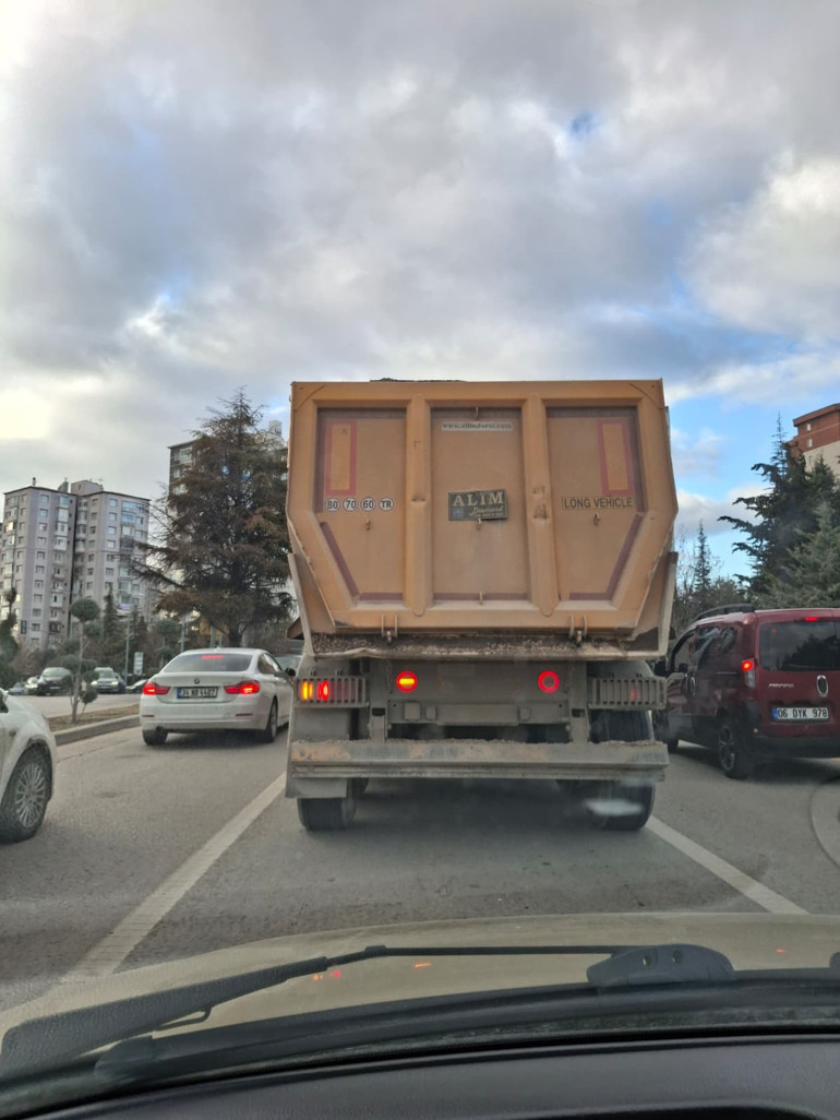 Çamurlu uyanıklar