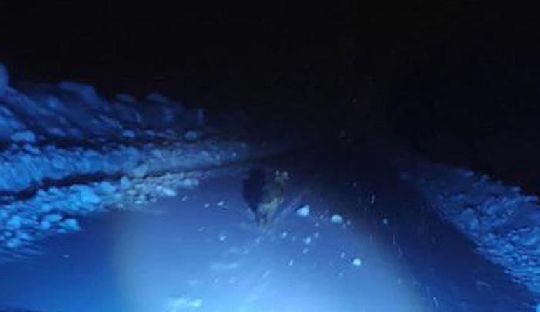  Saldırıya uğradı