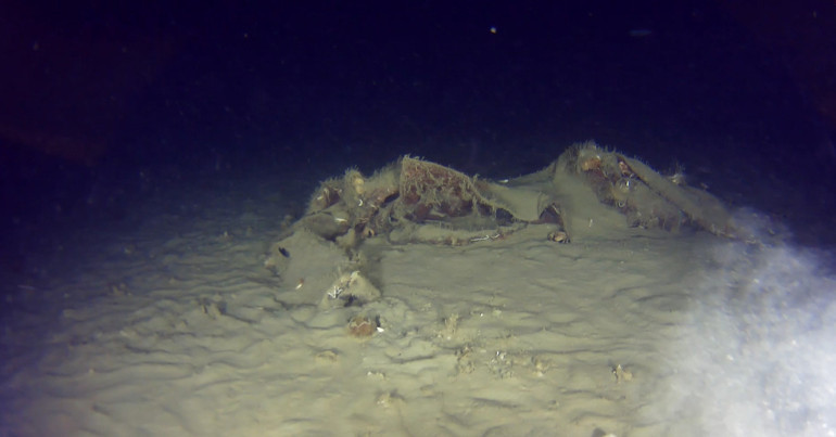 Su altı görüntüleme çalışmaları sırasında yakalanan enkaz parçaları