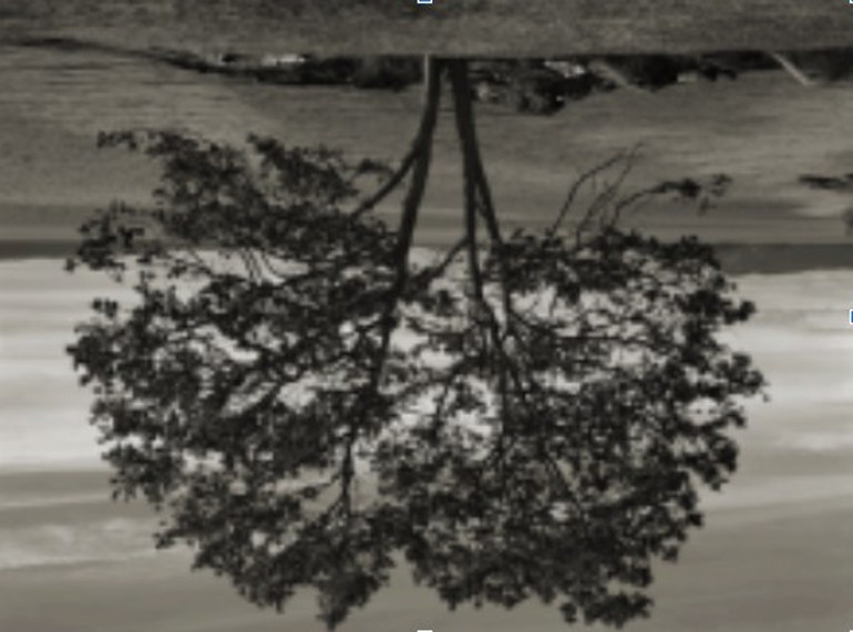 Unsettled sergisinden çoklu ortam yerleşimi