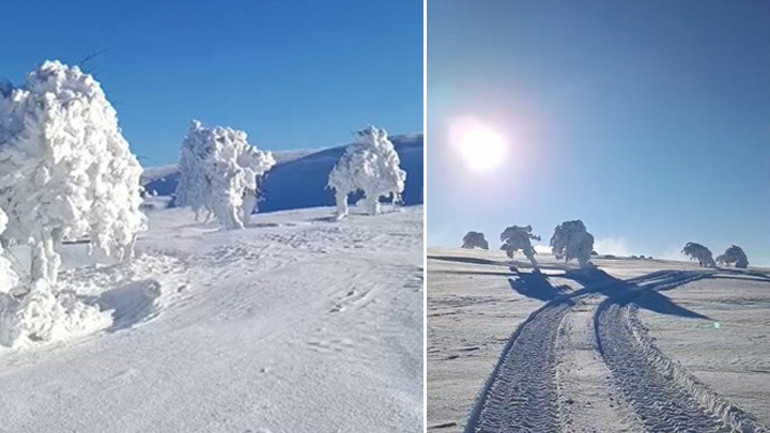 Bolu... Ağaçlar buz tuttu