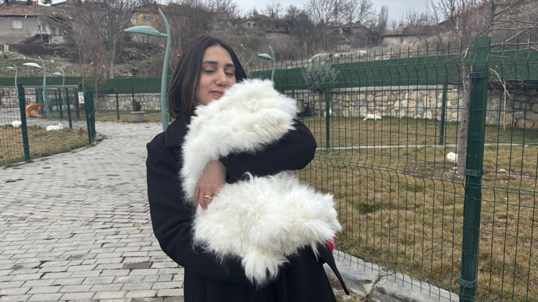 Angora tavşanlarının bakımı özen gerektiriyor