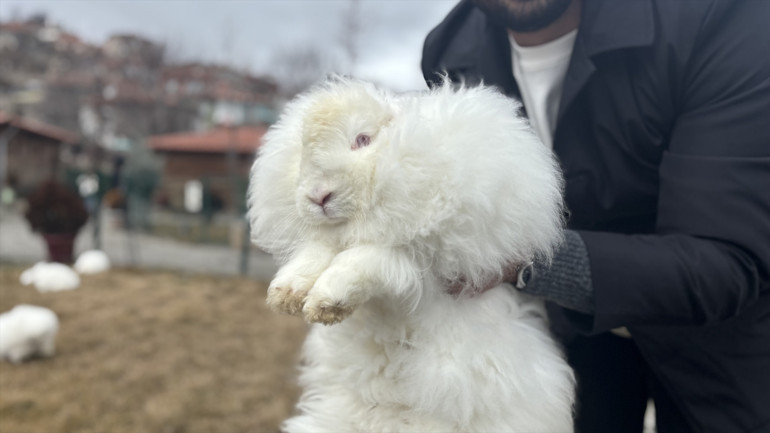 Tavşan Adası ziyaretçilerle dolu