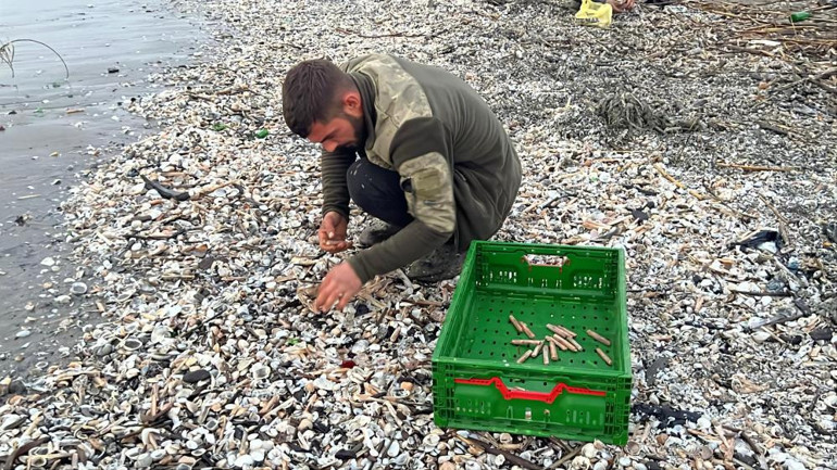 Fırtına sonrası sahile vurdular Balıkçılar tek tek topladı: Normalde para verip alıyoruz