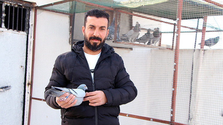 Güvercinini bulup getirene 75 bin TL verecek: Evladım gibi oldu, özel bir kuş - Son Dakika Flaş Haberler