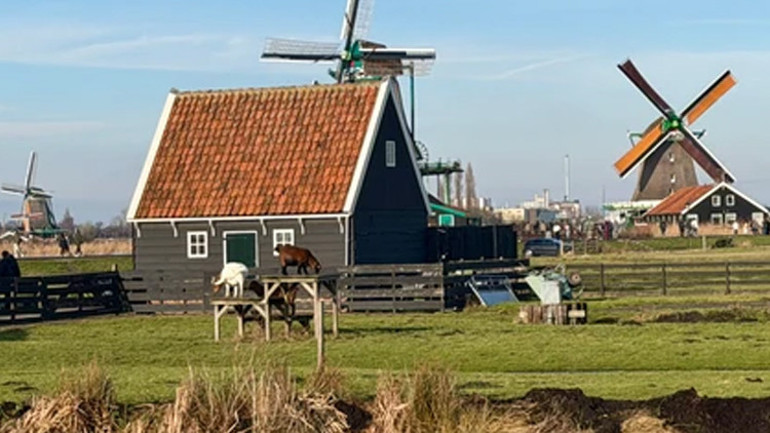 Hollandanın masalsı köyleri