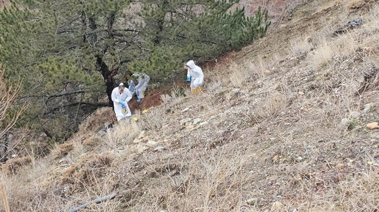 Çorumda kan donduran cinayet: Yaşlı adamın cansız bedeni parçalanmış halde çöp poşetinde bulundu