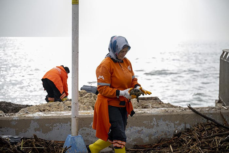 Taşkın sularıyla denize ulaştı: 150 kamyon toplandı Amacımıza ulaştık, halkımız rahat etsin
