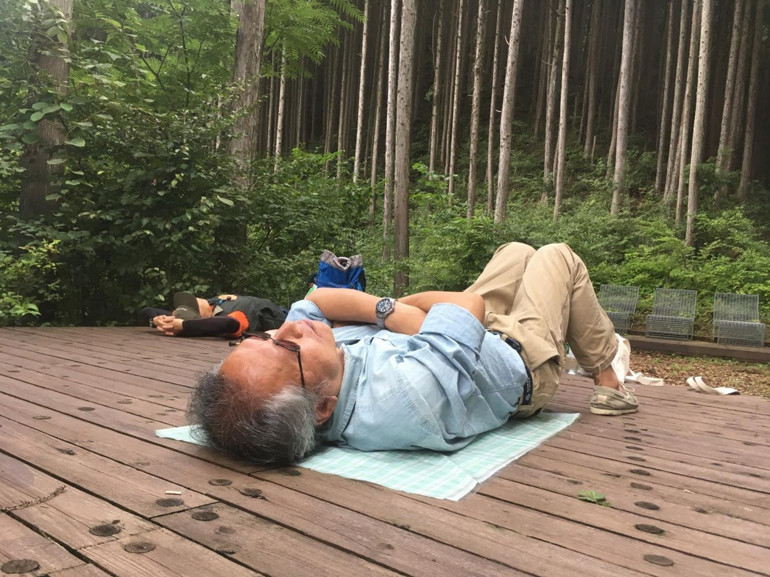 Japonya’dan dünyaya yayılan akım: Orman banyosu