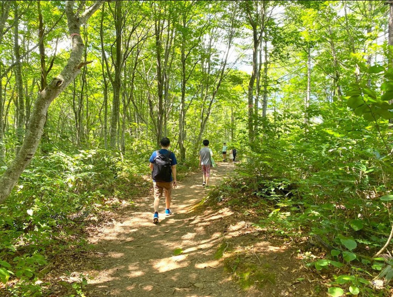 Japonya’dan dünyaya yayılan akım: Orman banyosu