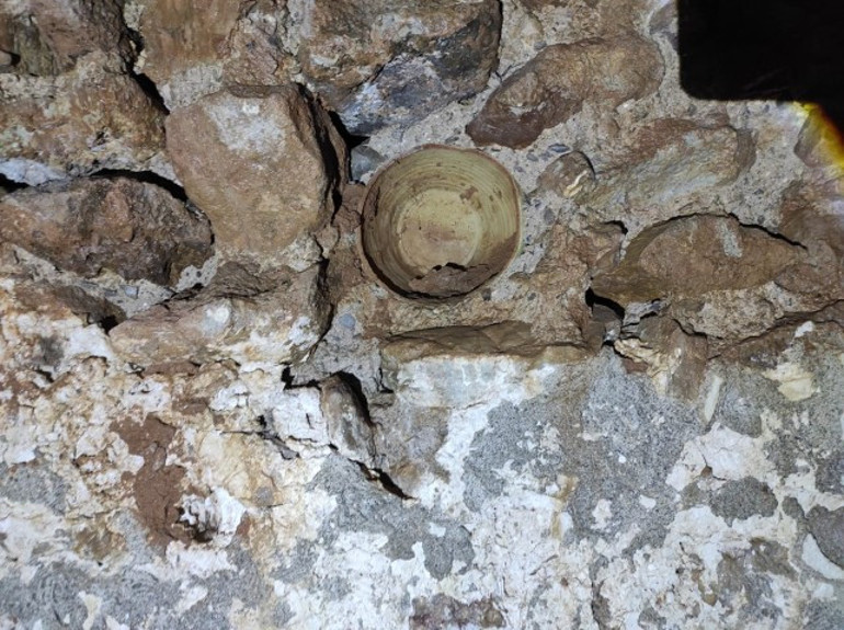 Doğada gezen bir grup fark etti Basına yansıyınca bölgeye ziyaretçi akını başladı | Sahipsiz kalmış olması bizleri üzdü