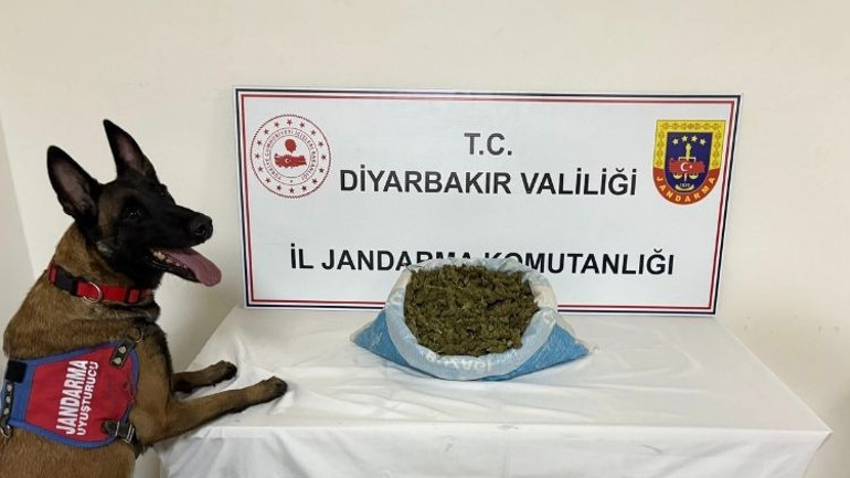 Uyuşturucu operasyonunda 22 tutuklama