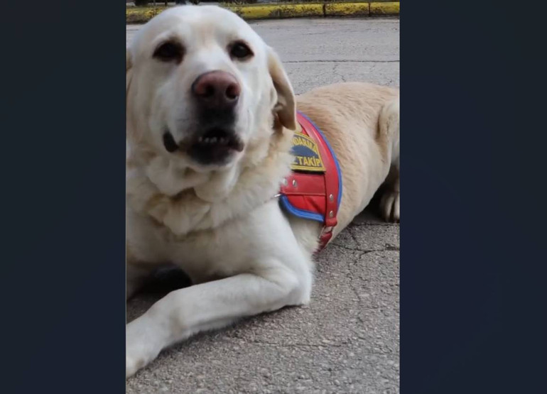 10 yıldır jandarmada görevli olan Medyum emekliye ayrıldı