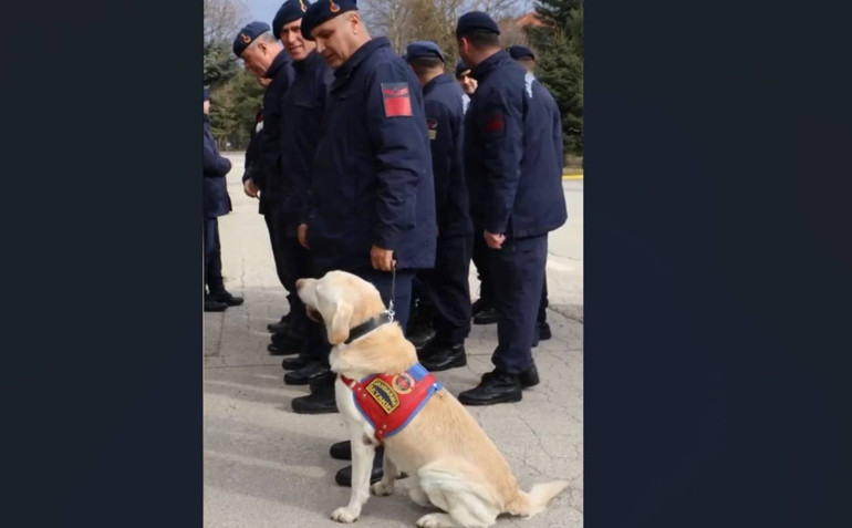 10 yıldır jandarmada görevli olan Medyum emekliye ayrıldı