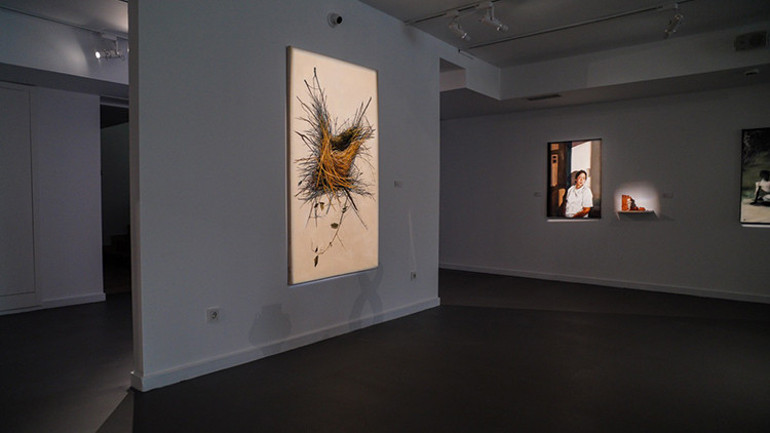 Yeni Seslerin Buluşma Noktası: ODAK 2025