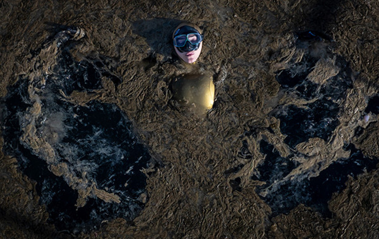 Cumhurbaşkanı Erdoğan, AAnın Yılın Kareleri oylamasına katıldı